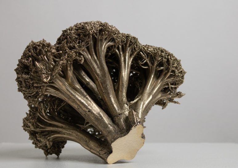 Broccoli Head of broccoli cast in solid brass with polished base.